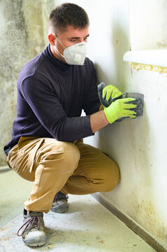 Fungus and mold is a manifestation of excess moisture in the room, a man with a spatula removes fungus and mold from the wall.