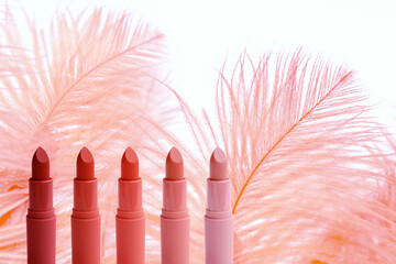 set of colorful lipstick, red, raspberry, pink, coral, peach color, close-up, fluffy ostrich...