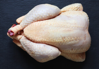 Photography of a raw plucked and prepared chicken on slate background for food illustration