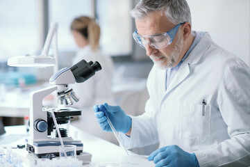 Scientist working in the laboratory