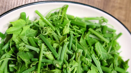 close-up of the gracilaria