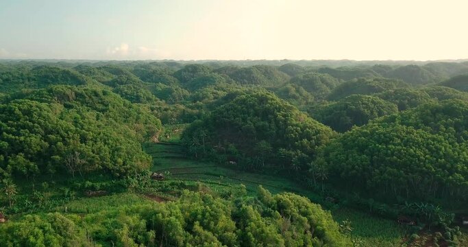 aerial drone view of forest and hill with a curved arrangement in the morning, Wonosari, Yogyakarta.