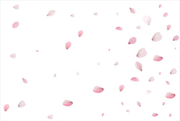 Cherry petals backdrop. Sakura petals background.