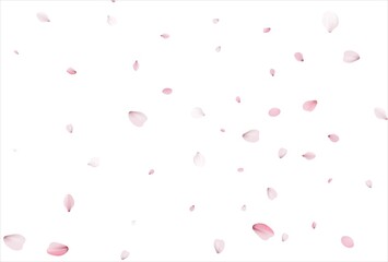 Sakura petals background. Cherry petals backdrop