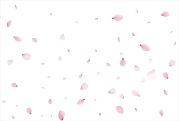 Sakura petals background. Cherry petals backdrop