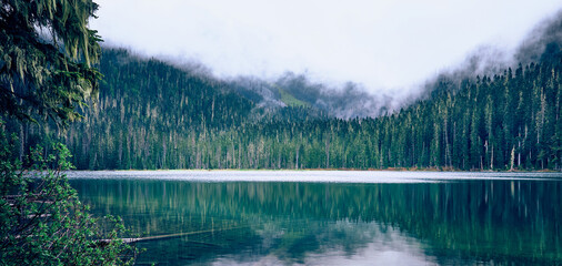 Forest lake is in the fog, Joffre Lake, British Columbia, Canada