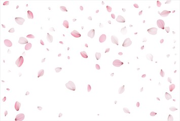 Fototapeta na wymiar Sakura petals background. Cherry petals backdrop