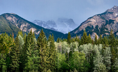 Fototapeta na wymiar Mountain landscape. Mount Robson area. highest peak in the Canadian Rockies. Mount Robson Provincial Park. British Columbia, Canada