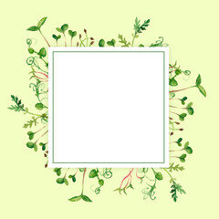 Hand drawn micro greens horizontal banner. Healthy vegetarian and vegan food design for company logo, print, packages. Watercolor illustration