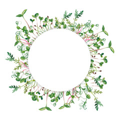 Hand drawn micro greens botany circle frame. Healthy vegetarian and vegan food design for company logo, print, packages. Raster illustration