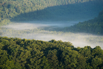 Landscape wooded valley in the early morning with fog