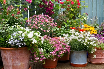 Foto op Aluminium Patiotuin met containers vol kleurrijke bloemen, containertuinieren en bloemendisplay-idee. © Clickmanis