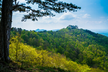 Germany, Hohenneuffen castle ruins on top of a forested mountain in nature landscape in summer with sun, panorama view above tree tops