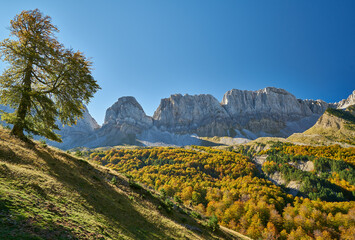 Autumn scenary in the Linza area in the Anso valley, Spanish Pyrenees