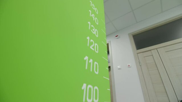 Height meter for children on green wall in pediatrician office closeup. Measuring tool to check body development