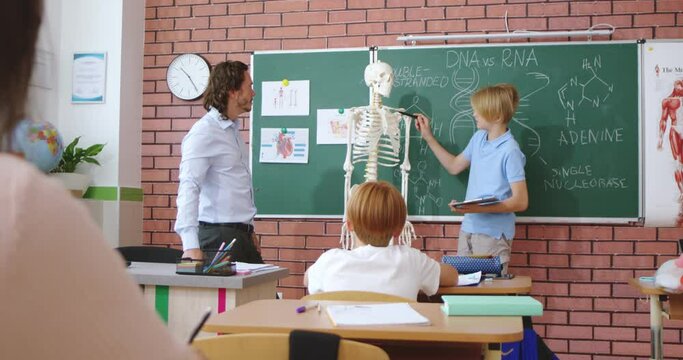 Caucasian small teen schoolboy answering at human scelet model to male teacher of biology or anatomy. Classes at school concept. Education for children. Rear of pupils in classroom.