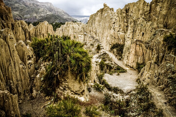 Obraz premium Bolivia nature. Rocks in National Park in La Paz, Bolivia