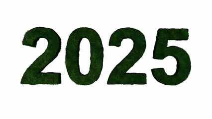 2025 Green Typography Text ( 3D Rendering 3D Illustration )