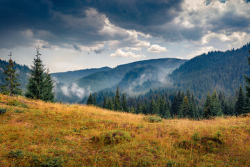 Naklejka na ściany i meble Dramatic morning view of Apuseni Natural Park, Cluj County. Foggy summer scene of Romania, Europe. Beauty of nature concept background.