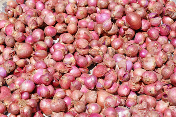red onion heap red onion background