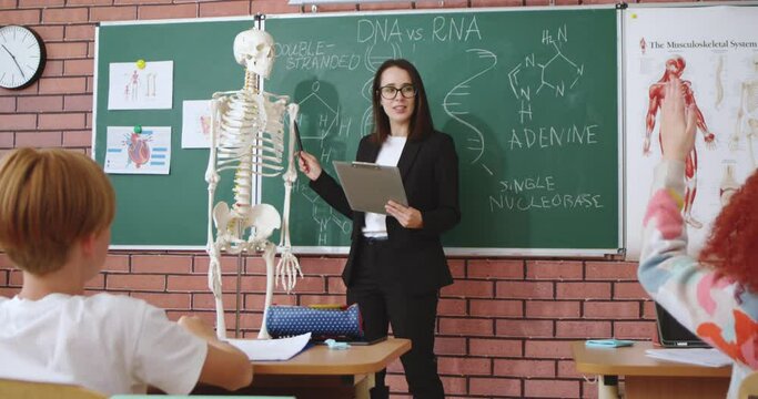 Beautiful Caucasian young female teacher of anatomy or biology explaining human body and bones on scelet model to pupils. At school. Education concept. Indoor. Interesting knowledge.