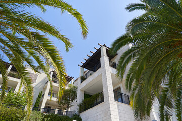 Fototapeta na wymiar View of a luxury residential building through palm trees, housing investment concept