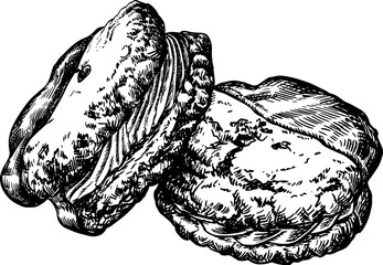 sandwich double chocolate cookies hand drawn illustration closeup