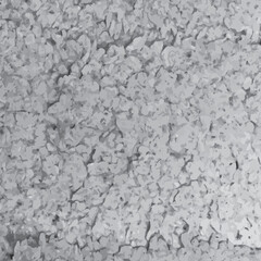 Black and white vector texture terry carpet fluffy background for decoration