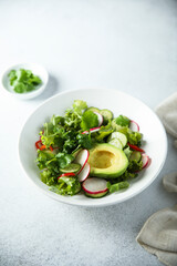 Fresh vegetable salad with avocado