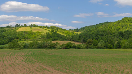 Fototapeta na wymiar Green Hills Landscape