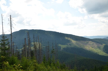 View of Carpathian mountains landscape