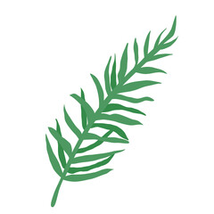 Green leaf vector illustration. Natural plant element isolated on white background.