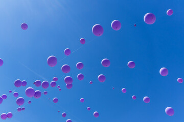Fototapeta premium Violet balloons on a blue sky