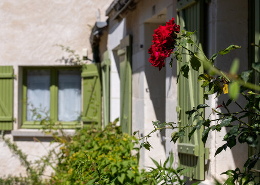 The small village of Chedigny in the Loire Valley, central France. The village has been turned into a giant garden and is known as a garden village or 'Remarkable Garden'. It bursts with colour.