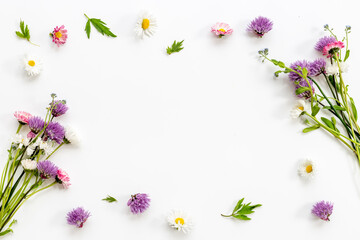 Summer wild meadow field blooming plans. Floral background with flowers and herbs