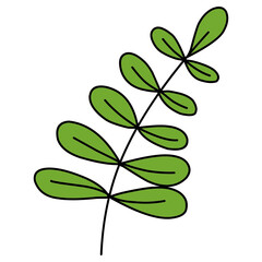 Green foliage illustration