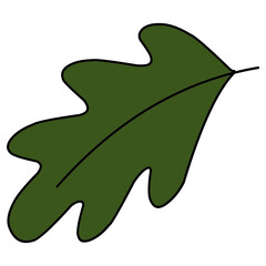 Green oak tree leaf