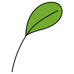 Green foliage illustration