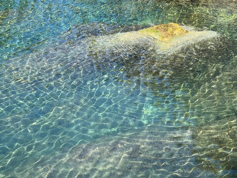 Sea water turquoise green clear surface.