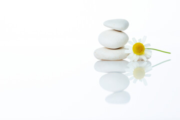 Fototapeta na wymiar Fresh chamomile flowers among white stones on a white isolated background. cosmetology and health care. natural herbs
