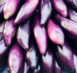 fresh eggplants sold at street fair