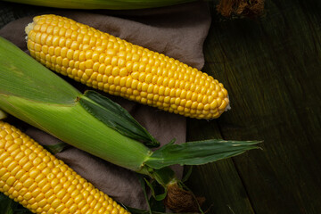 Top view of ripe sweet corn cob on wooden copy space