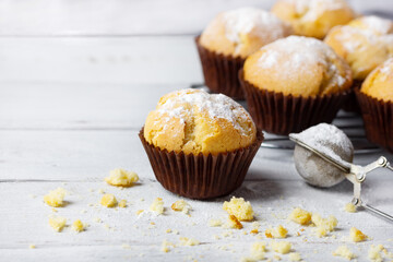 Vanilla muffins covered with sugar powder on white wooden background.