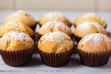 Freshly baked, homemade cupcake in muffin tin with paper liner.