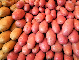 fresh potatoes sold at street fair