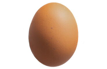 egg isolated on white background