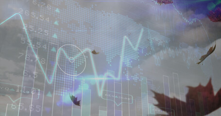 Image of financial data processing over leaves falling and sky
