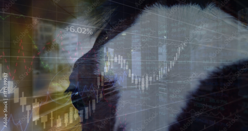 Poster image of data processing over horse