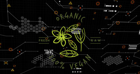 Fototapeta premium Image of organic vegan text with icons over data processing on black background