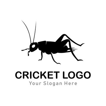 cricket insect logo